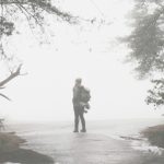 ACA insurance costs lost in the woods