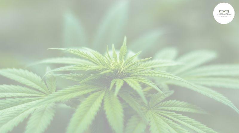 marijuana laws by state